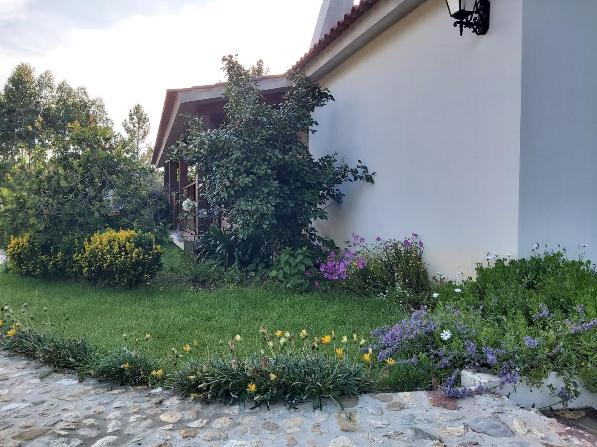 Casa Vale Nicolau Villa Arganil Rum bild