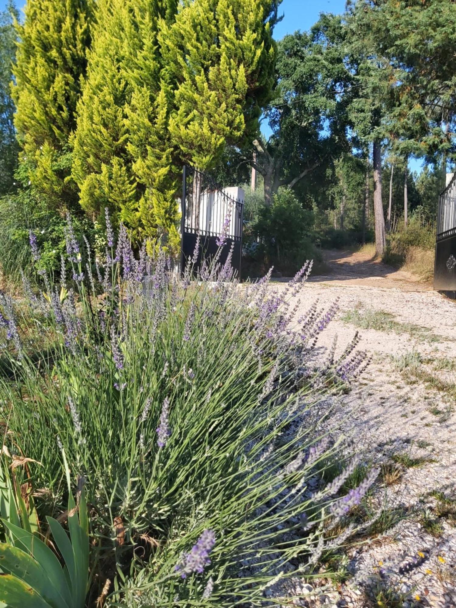 Casa Vale Nicolau Villa Arganil Rum bild